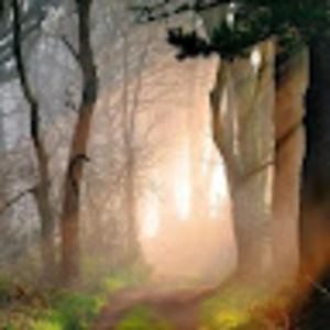 Meet your Posher, Elspeth